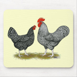 Marans:  Cuckoo Pair Mouse Pad