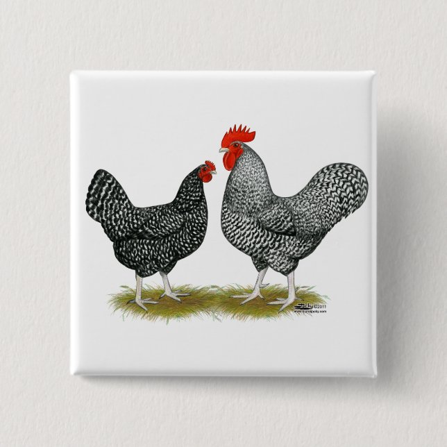 Marans:  Cuckoo Pair Pinback Button (Front)