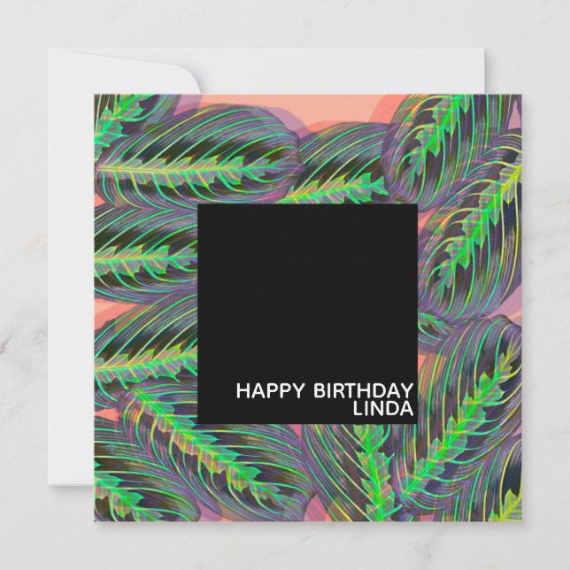 Maranta Plant Pattern Illustration Leaf Birthday   Card (Front)
