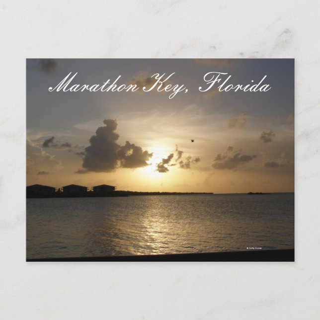 Marathon Key, Florida Postcard (Front)
