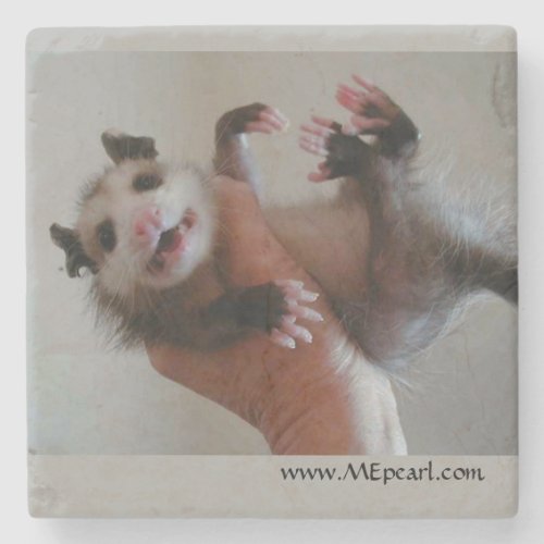 Marble Coaster with Opossum
