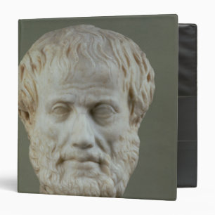 Marble head of Aristotle Binder