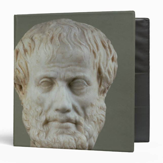 Marble head of Aristotle Binder (Front/Inside)