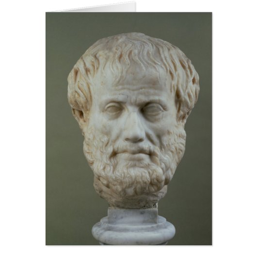 Marble head of Aristotle Cards (Front)
