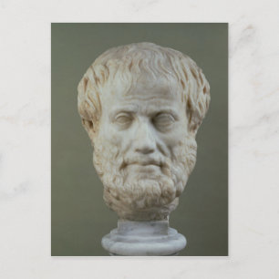 Marble head of Aristotle Postcard