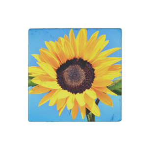 Marble Magnet with Sunflower