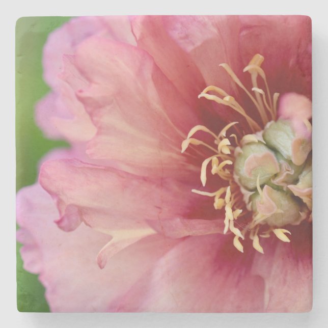 Marble Peony Coaster (Front)