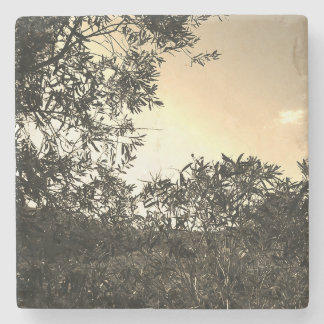 Marble Stone Coaster