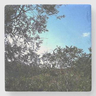 Marble Stone Coaster