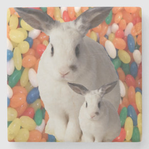 Marble Stone Coaster Easter