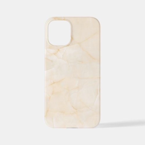 Marble Texture Background iPhone 12 Mini Case