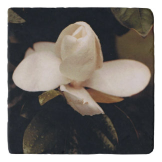 Marble Trivet with Magnolia Design