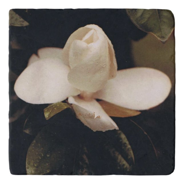 Marble Trivet with Magnolia Design (Front)