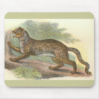 Marbled Cat, Felis marmorata Mouse Pad