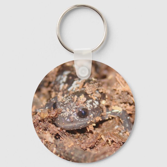marbled salamander key chain (Front)