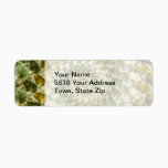 Marbled Shards - Mandelbrot Art Label