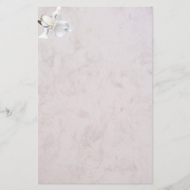 marbled stationery orchid (Front)