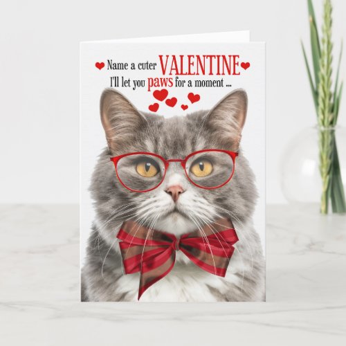 Marbled Tabby Cat Lover Valentine Feline Humor Holiday Card