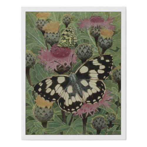 Marbled White Butterfly Faux Canvas Print