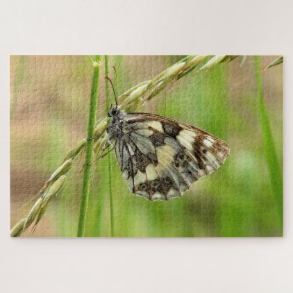 Marbled White Butterfly on Grass Jigsaw Puzzle