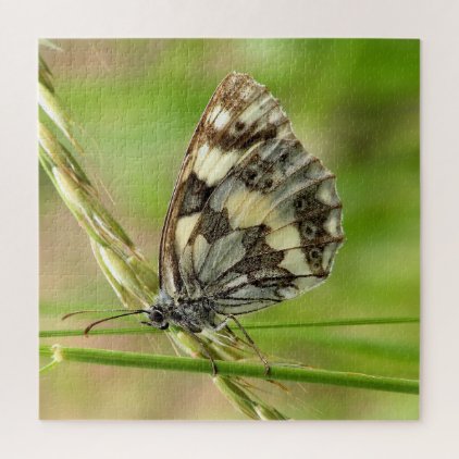 Marbled White Butterfly on Grass Jigsaw Puzzle