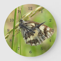 Marbled White Butterfly on Grass