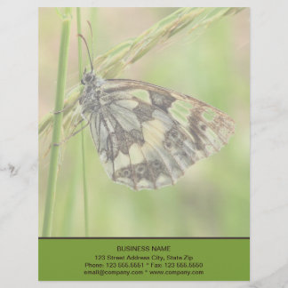 Marbled White Butterfly on Grass Letterhead