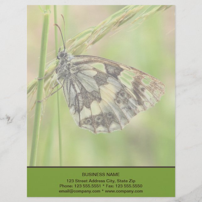 Marbled White Butterfly on Grass Letterhead (Front)