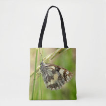 Marbled White Butterfly on Grass