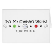 march15b15Sheltie.jpg (Front Horizontal)