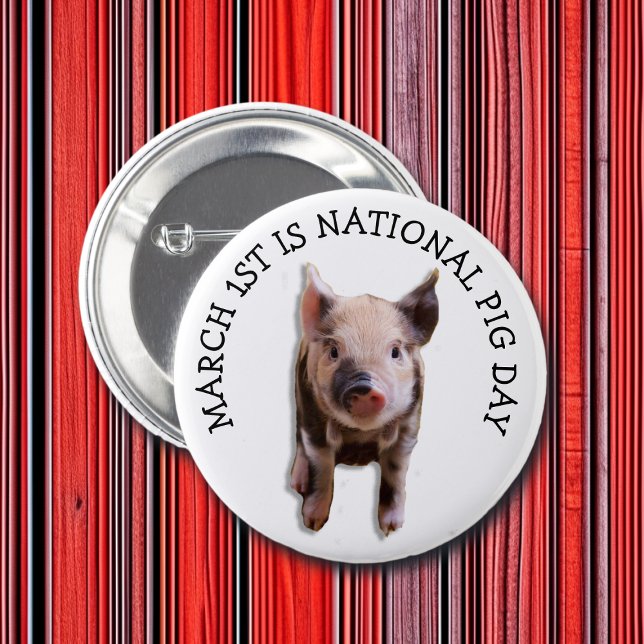 March 1st is National Pig Day Funny Holidays Button (Creator Uploaded)