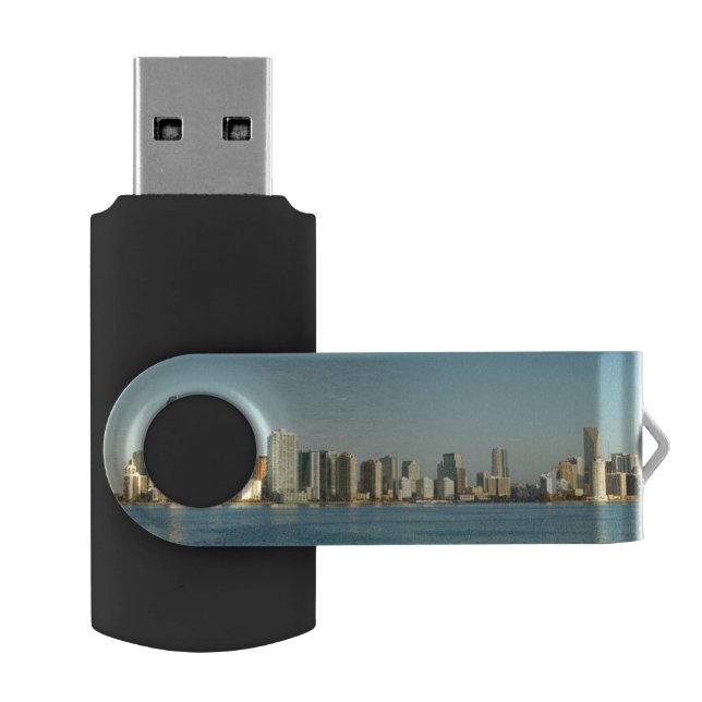 March 2006. 2 USB flash drive (Opened)