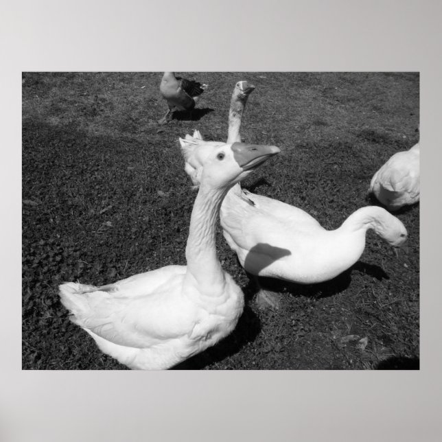 March 22 (15) Poster (Front)