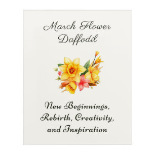 March Birth Month Flower Daffodil Birth Gift     Acrylic Print