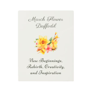 March Birth Month Flower Daffodil Birth Gift     Metal Print