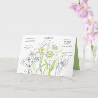 March Birthday Daffodil Birth Month Flower Card