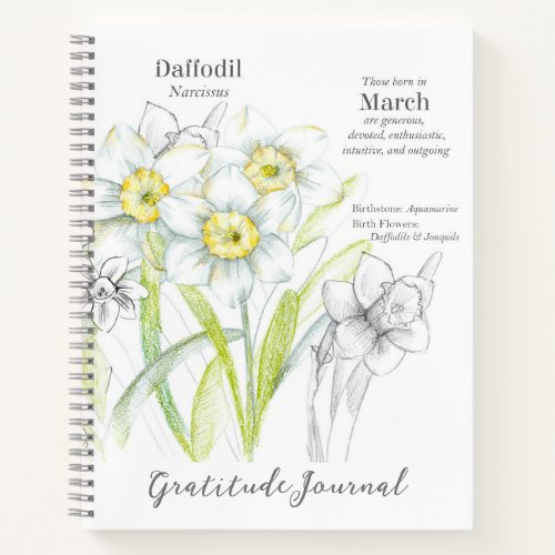 March Birthday Daffodils Gratitude Journal Gift