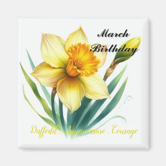 March Daffodil and Birthstone   Magnet