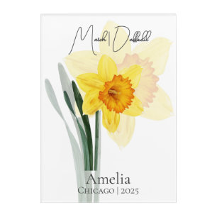 March Daffodil Birth Month Botanical Design Acrylic Print