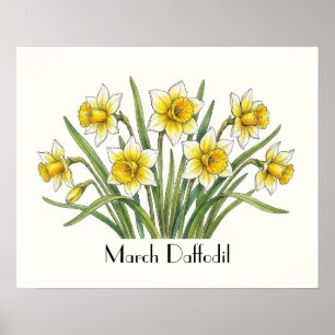 March Daffodil Flowers Poster