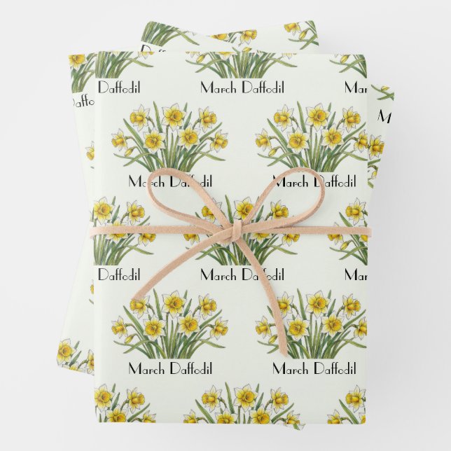 March Daffodil Flowers Wrapping Paper Sheets (In situ)