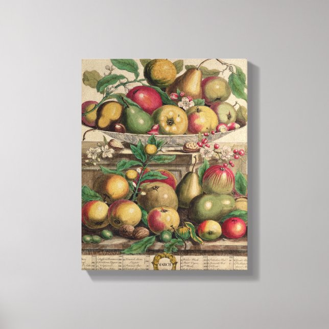 March, from 'Twelve Months of Fruits' Canvas Print (Front)