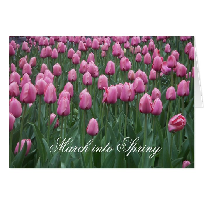 March into Spring Greeting Cards