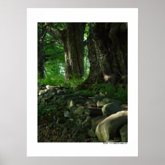 March of the Maples Poster