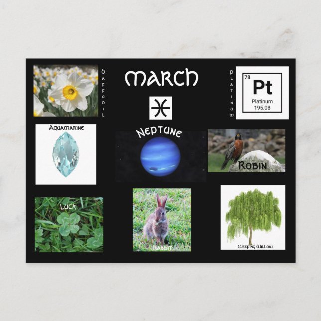 March Pisces Birthday Postcard (Front)