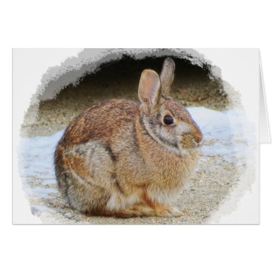 March Rabbit with Vignette Cards (Front Horizontal)