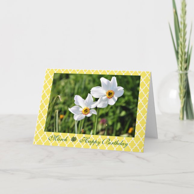 March Stunning White Jonquil Flower Birthday Card (Front)