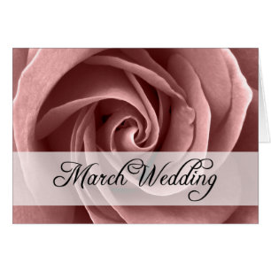 March Wedding : rose of the season : Cards