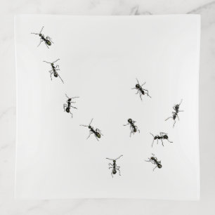 marching ants trinket tray