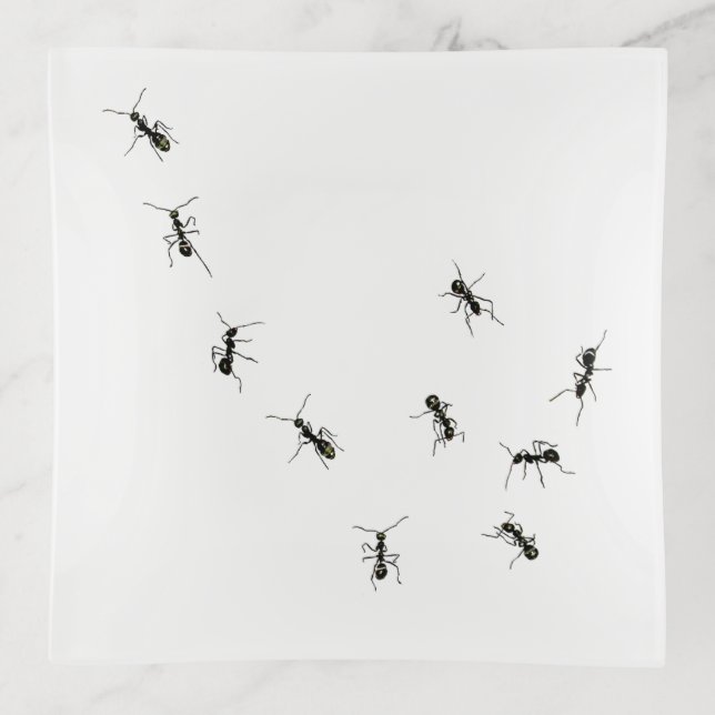 marching ants trinket tray (Front)